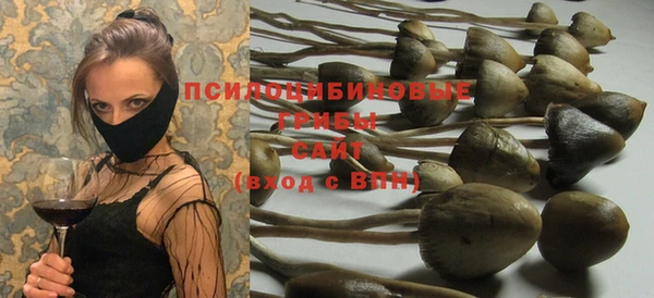 тгк Надым
