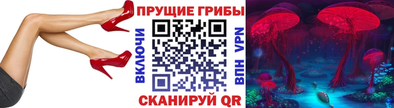 Псилоцибиновые грибы Cubensis  Южноуральск 